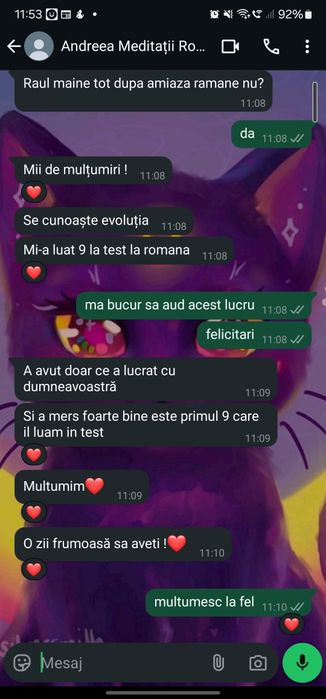 Meditații - limba și literatura română clasele V - XII.