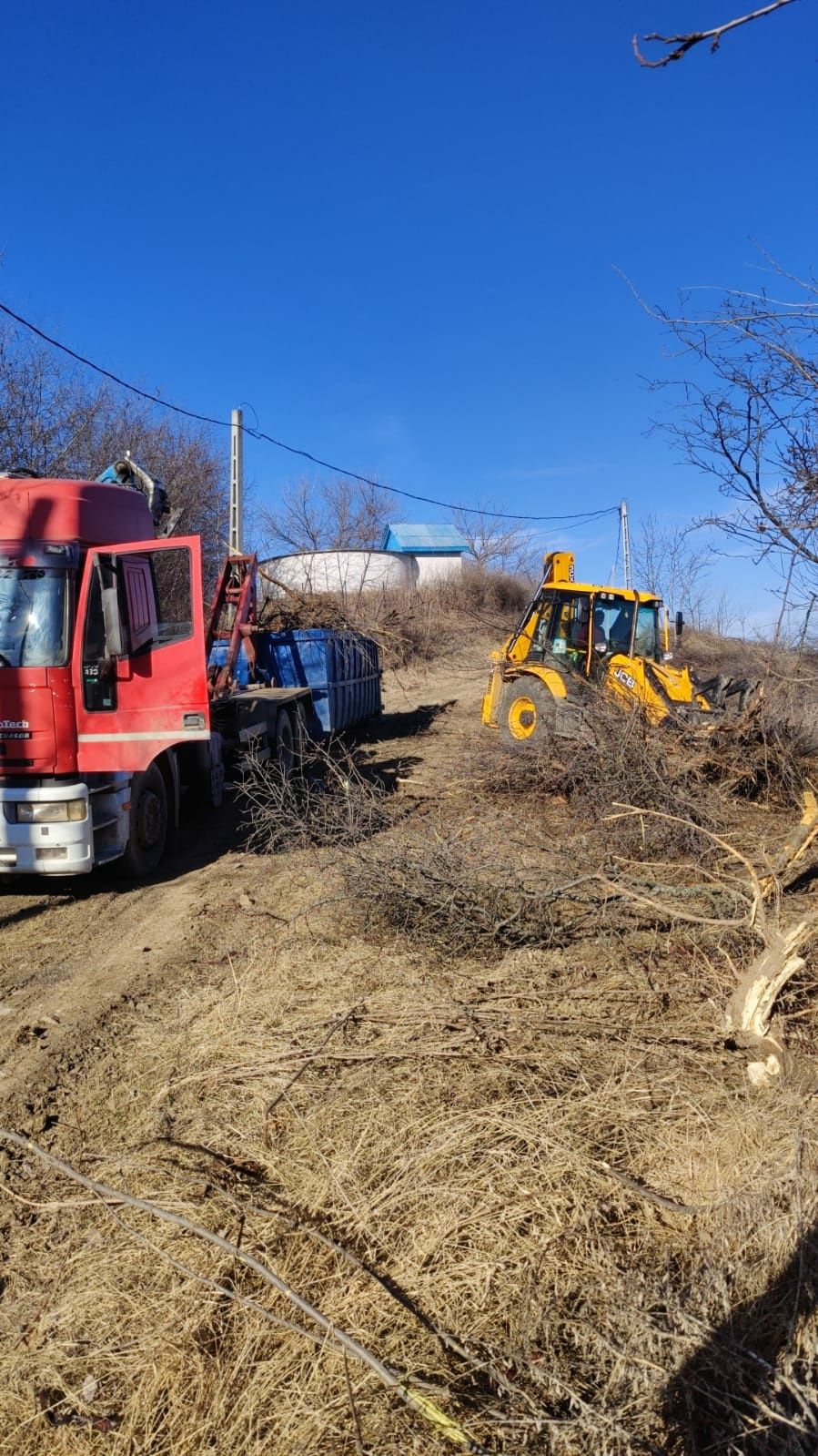 Debarasari crengi,iarba.defrisari,Evacuări resturi vegetale cu macara,