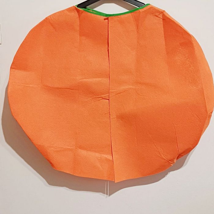 Costum carnaval dovleac