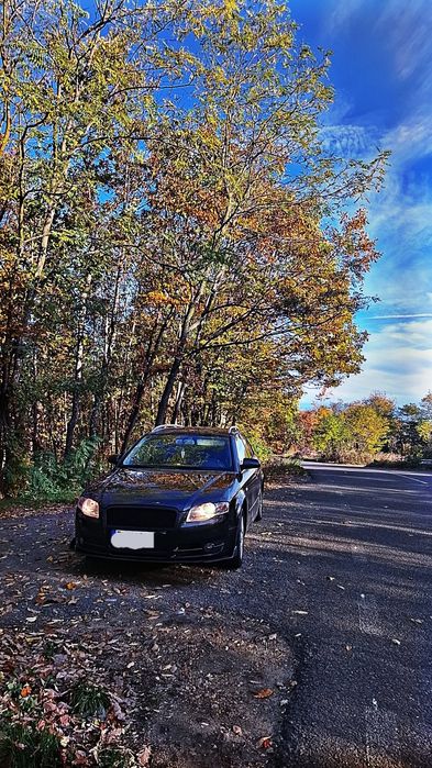 Vand/Schimb Audi a4B7