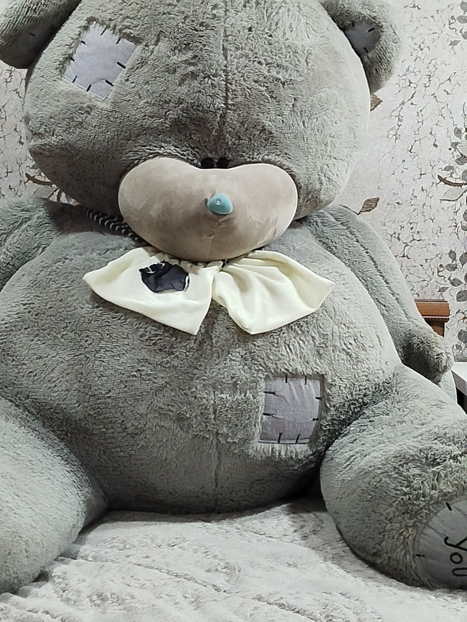 Kotta teddy ayiq