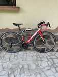 Cursiera Carbon FRW