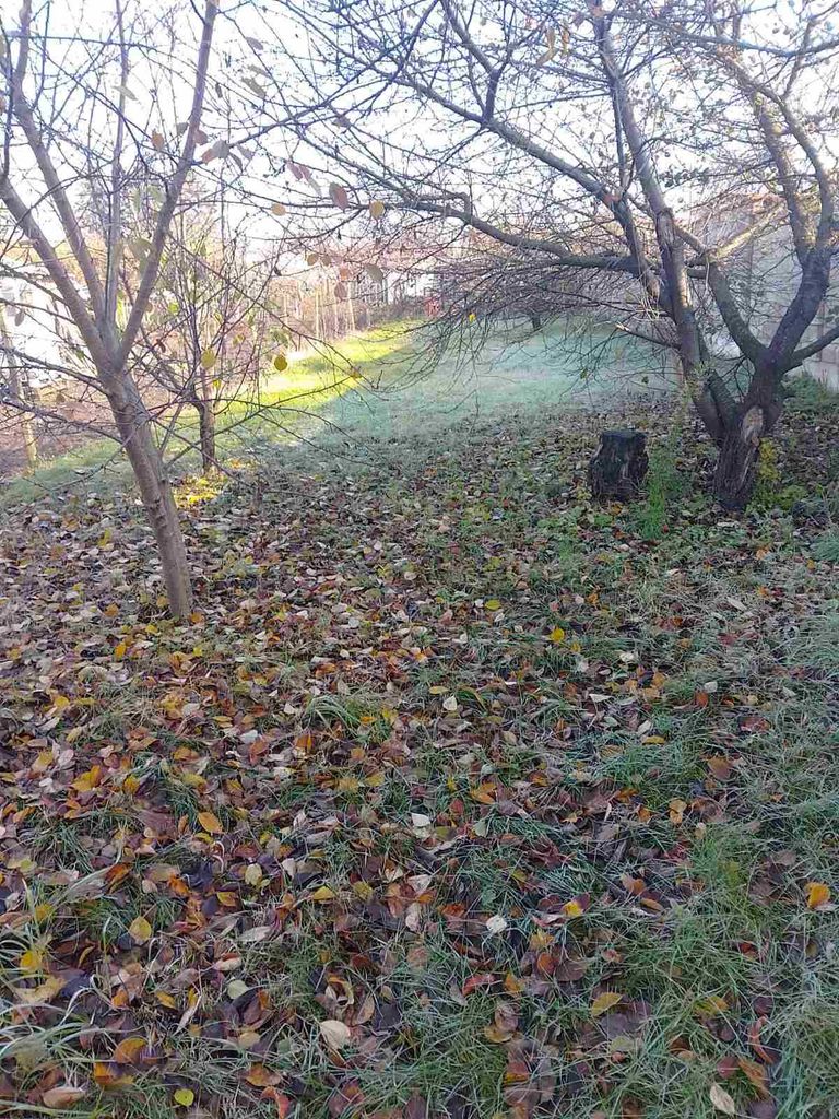 Продава се Парцел в Разград, Промишлена зона - Запад - 600 кв.м за 43 €/кв.м - Снимка #3
