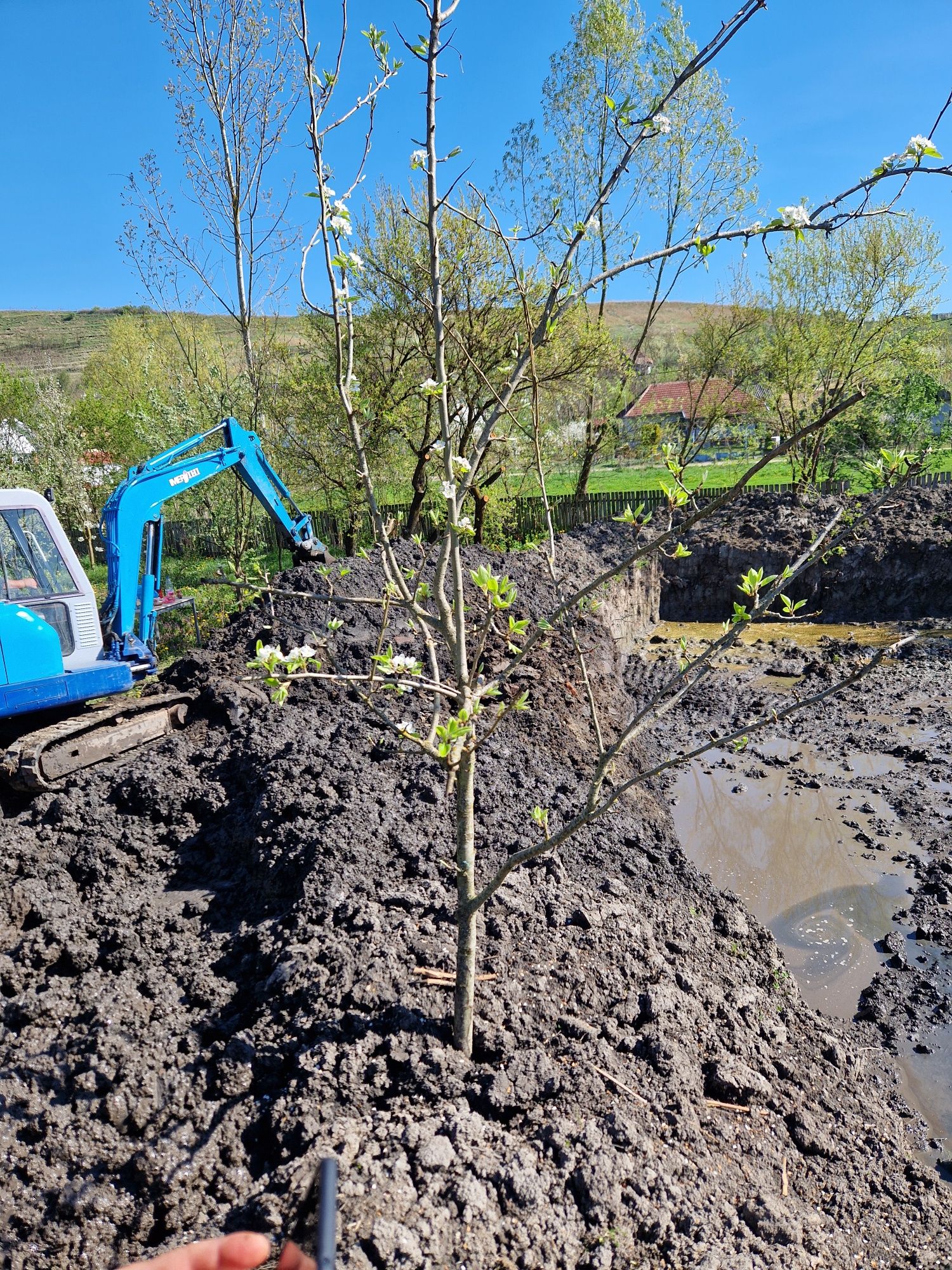 Execut lucrări cu miniexcavator si basculanta