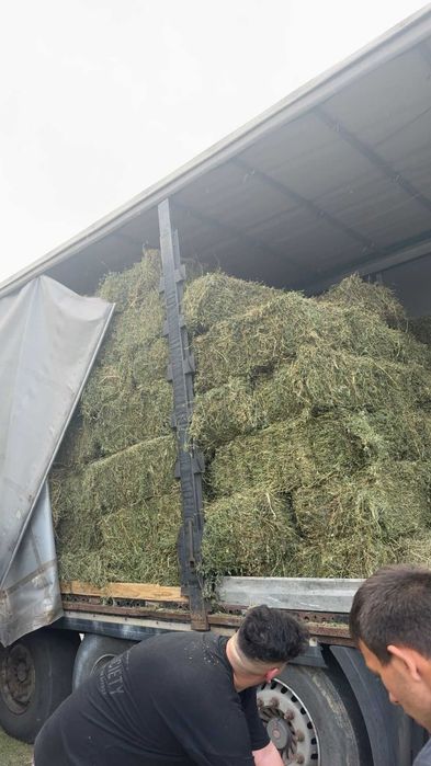 Baloți de lucernă , baloți  de fân și baloți de paie