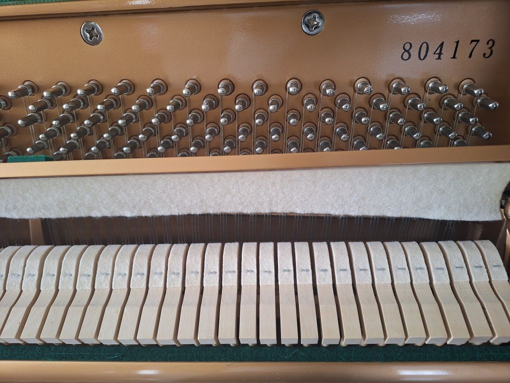 Pianina Ritmüler
