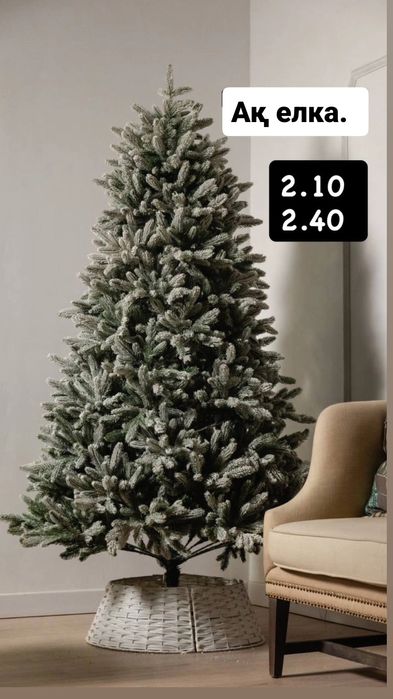 Елка белая и зеленая