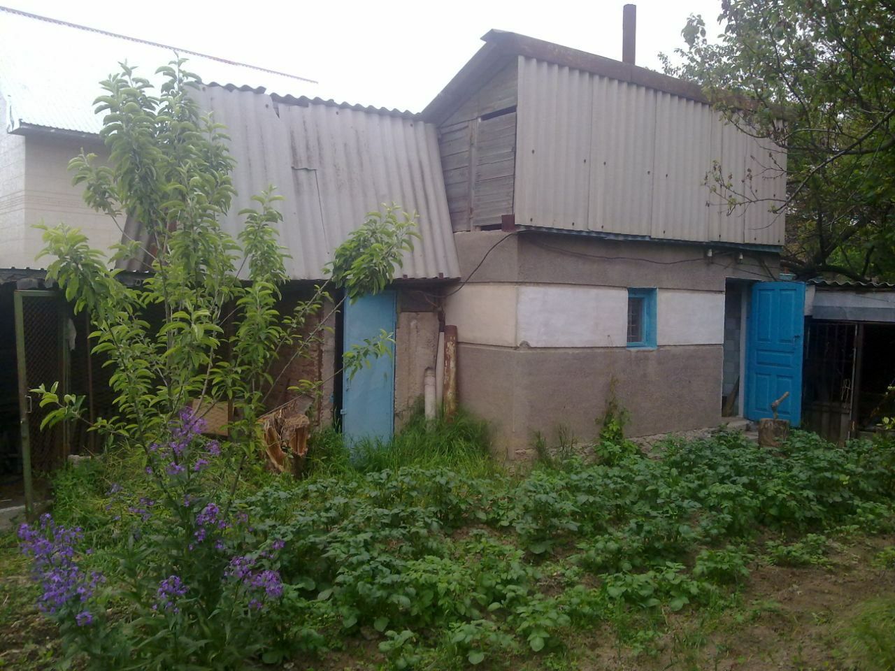 Продается дача на Кайнар Булаке .