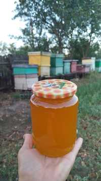 Vând Miere de albine