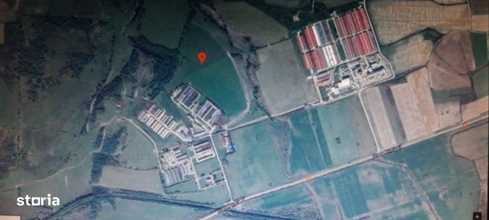 Teren 12000 mp Sercaia