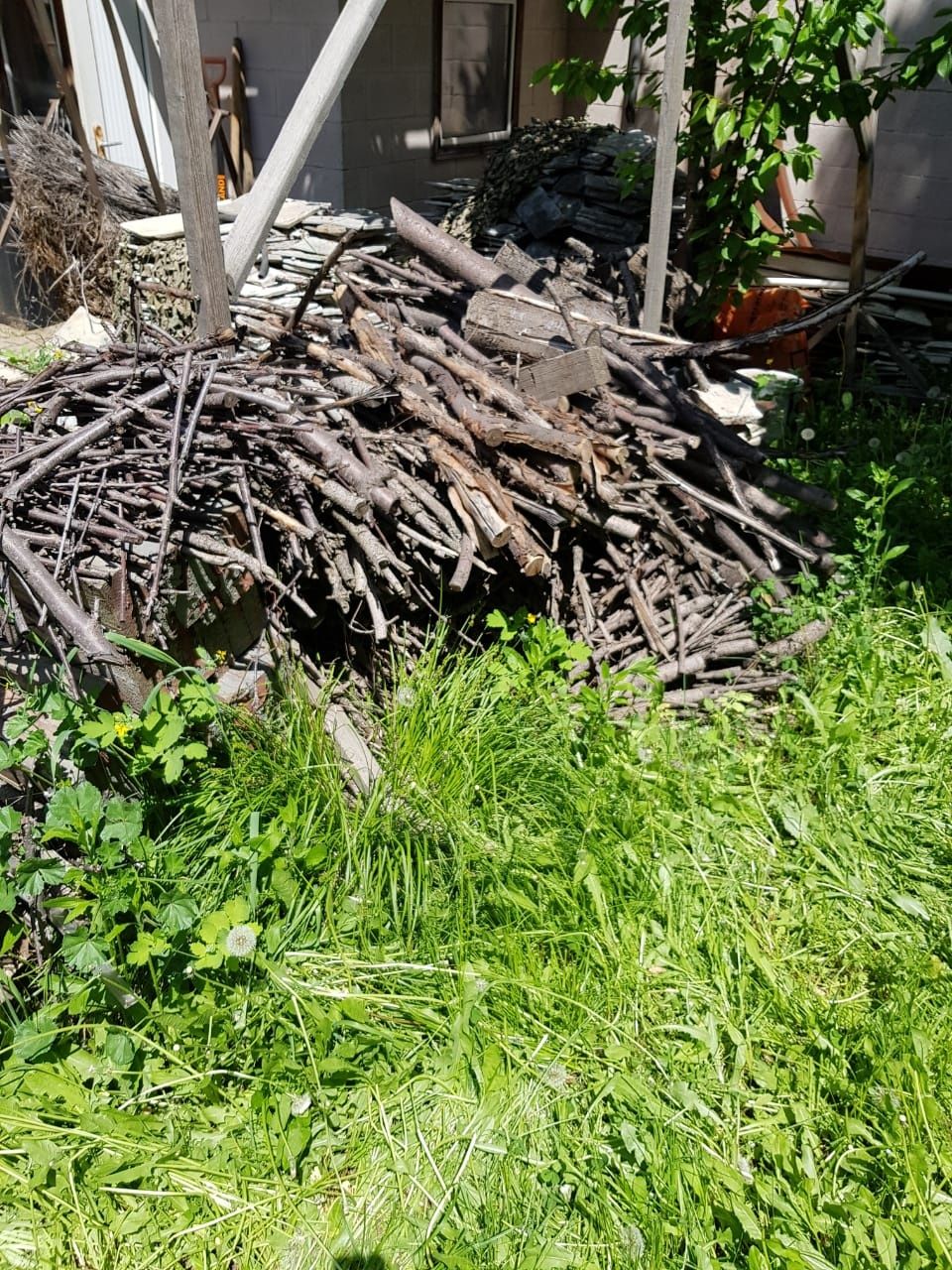 Дрова яблони для мангала и печки
