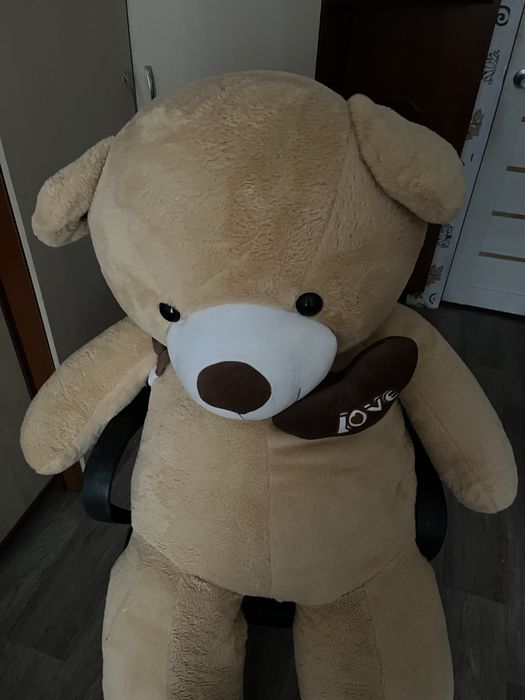 медведь полтора метра