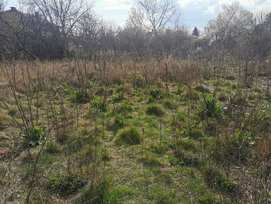 Продава се Парцел в с. Шаново, Област Стара Загора - 1250 кв.м за 12 €/кв.м - Снимка #4