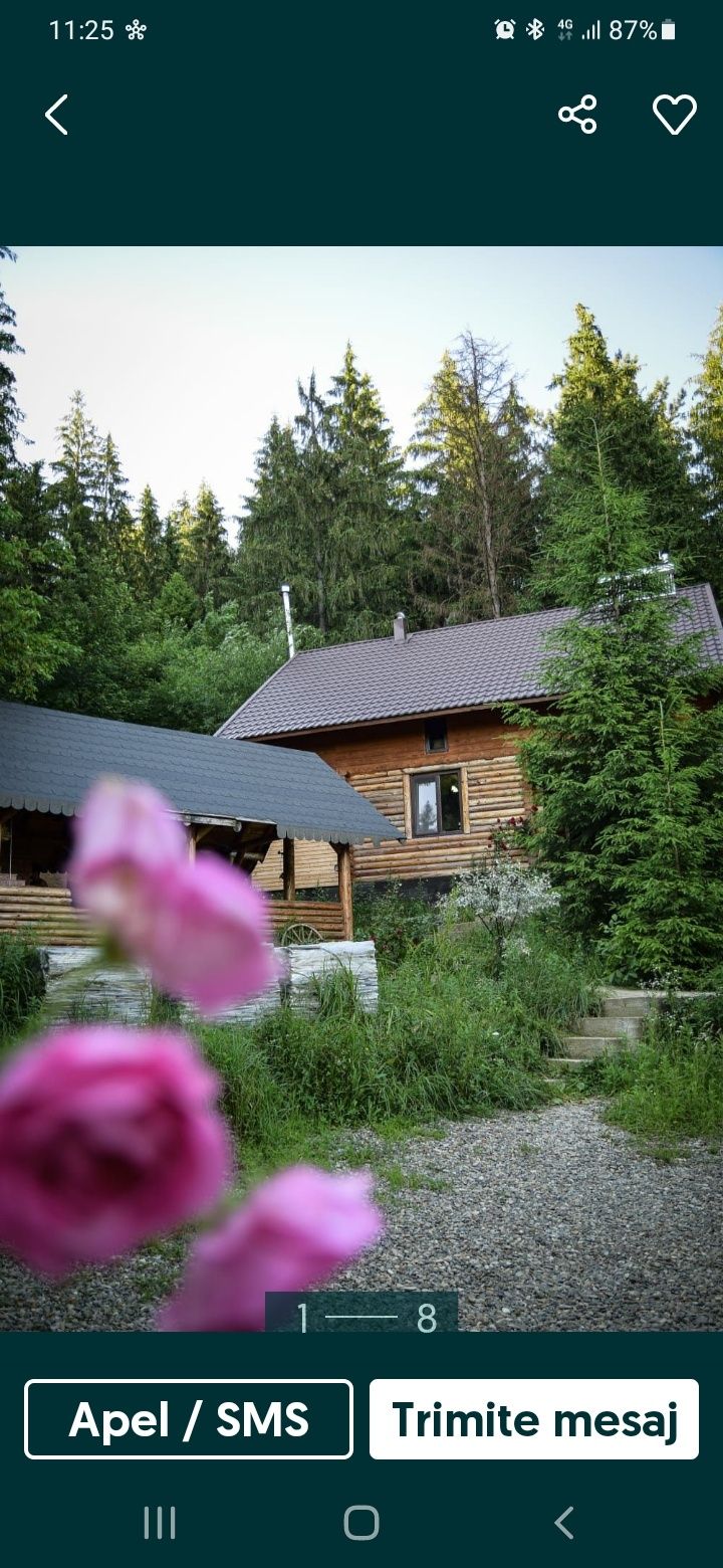 Închiriez cabana in Straja jud Suceava (Bucovina)