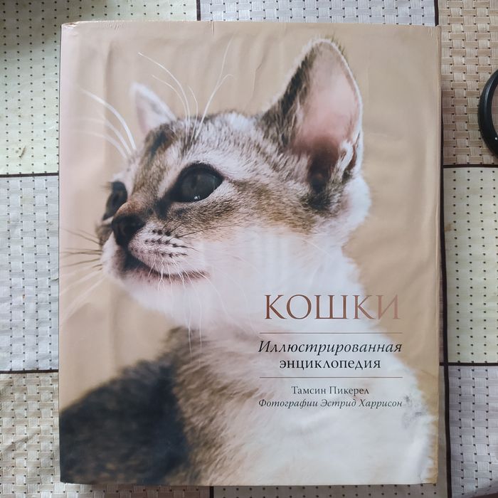Продаю иллюстрированную энциклопедию всё о кошках