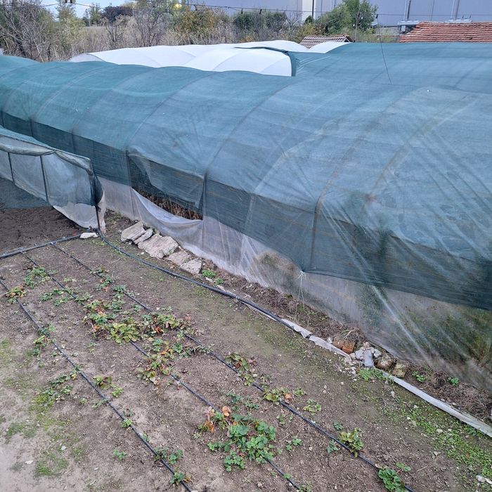 Орънжеря метални