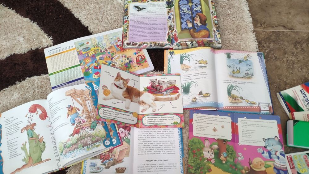 Речници и книги на руски език