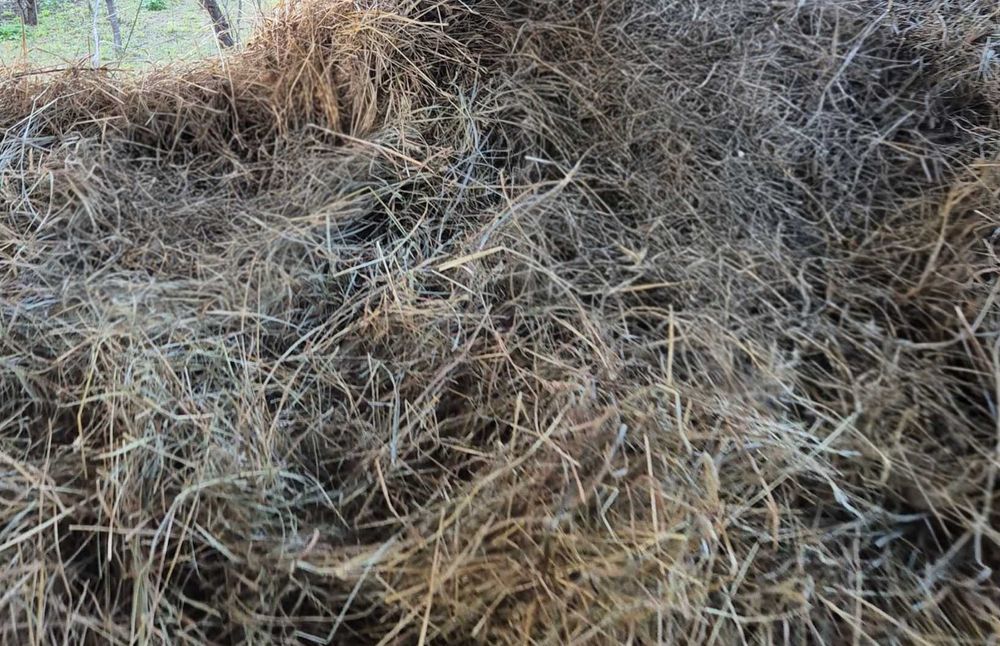 Otavă si fan de vanzare