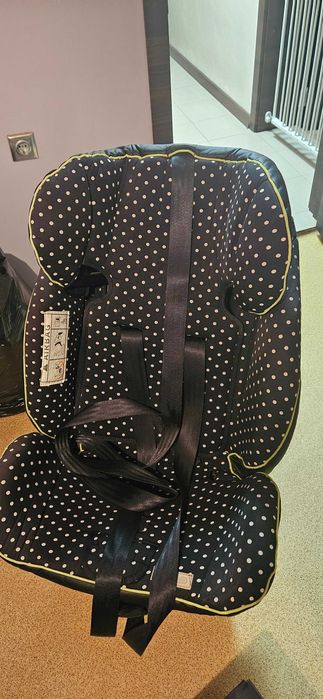 Chipolino Стол за кола 0-25 кг. Мондо Isofix