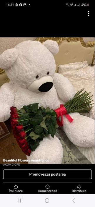 surprize la domiciliu lux 700 lei