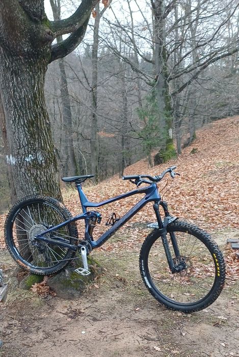 Vand Vitus soment 27 crx 2021 carbon