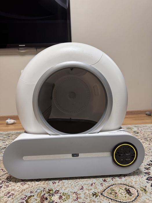 туалет-лоток. Лоток для кошек