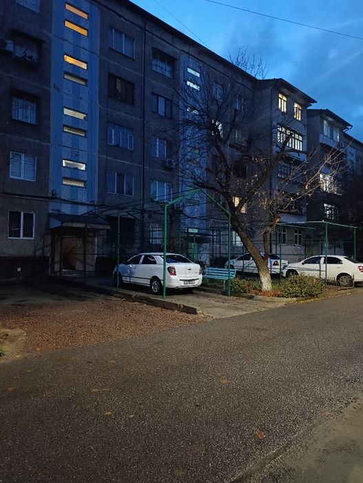 "Tansiqbayev3" 2/5/5