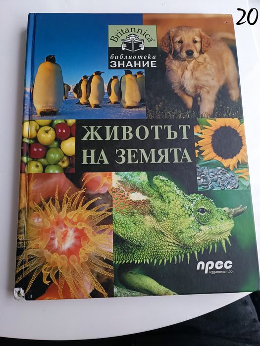 Детски книги    2