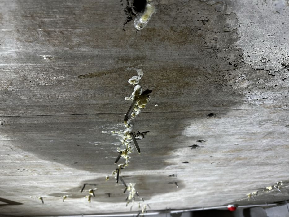 Injectari structurare