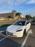 Vand Tesla Model 3 Highland SR
