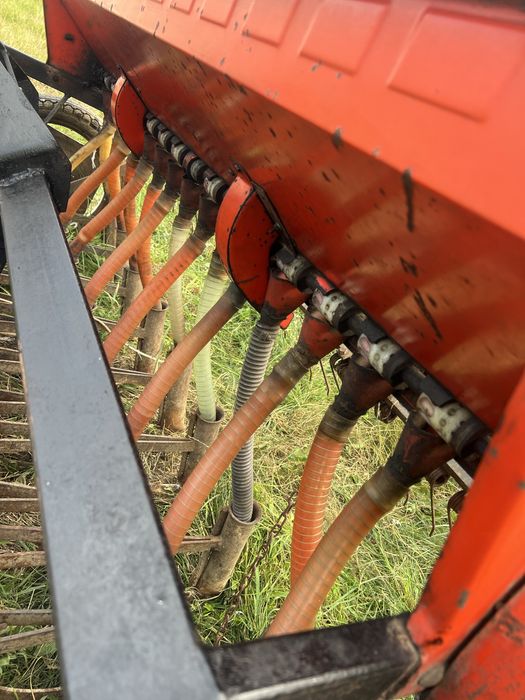 Semanatoare paioase Moreni