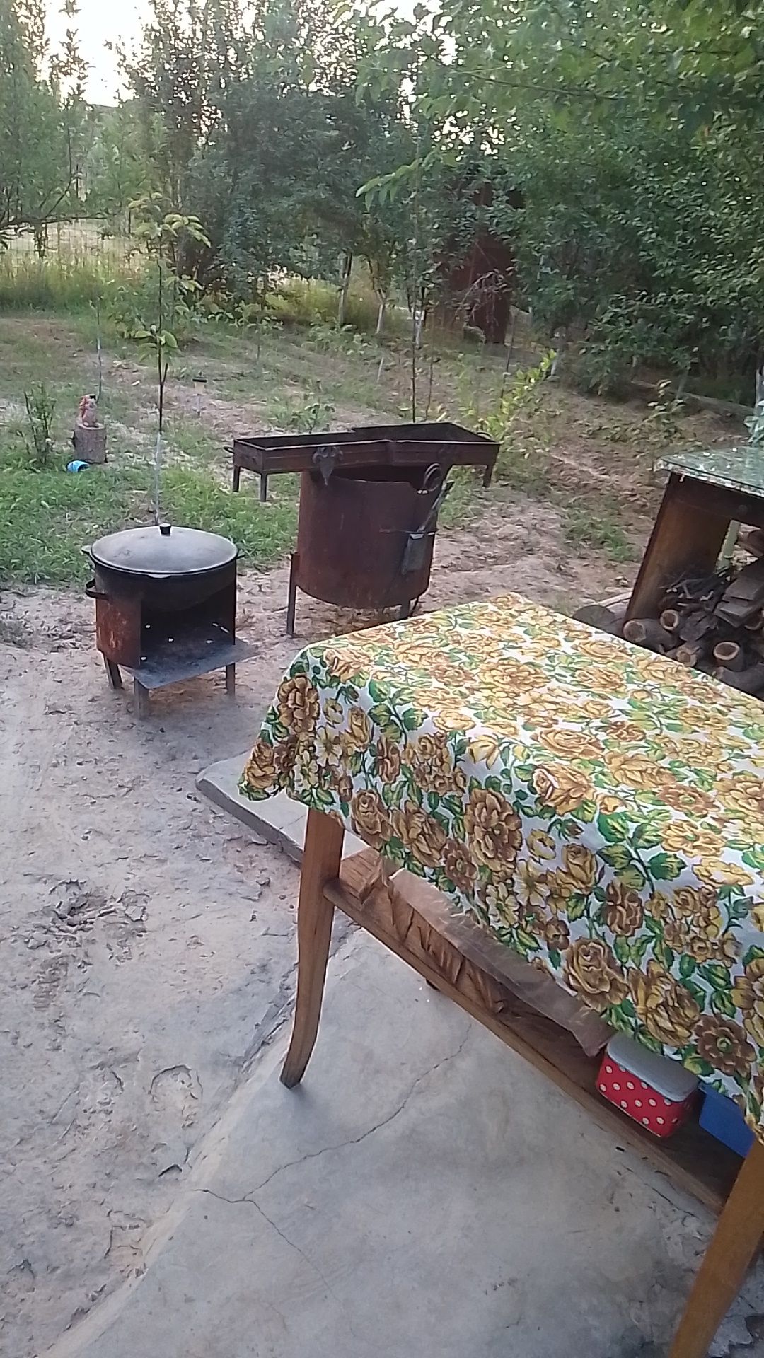 Сдаю дачу для семейного отдыха