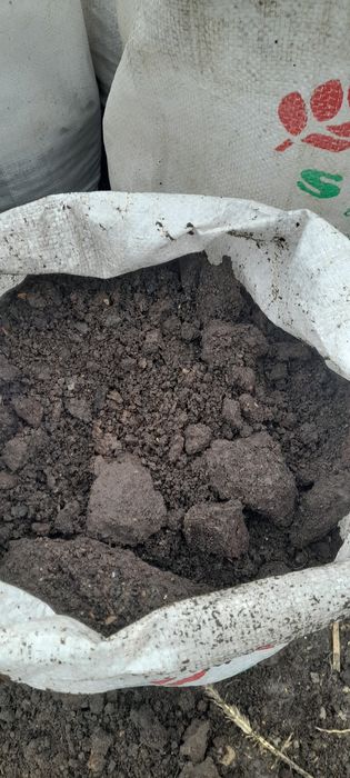 Mranita de vaci la sac.