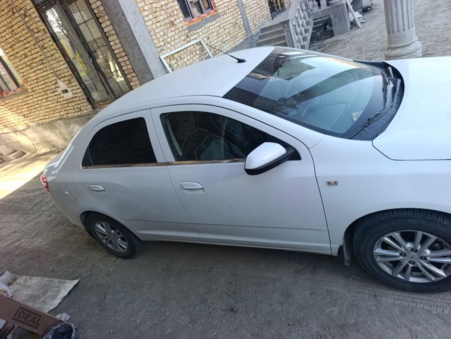 Kobalt sotiladi sastaniyasi zur kraskasi umuman yuq uzimniki