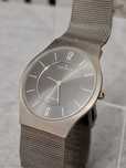 Ceas barbatesc Skagen Titanium