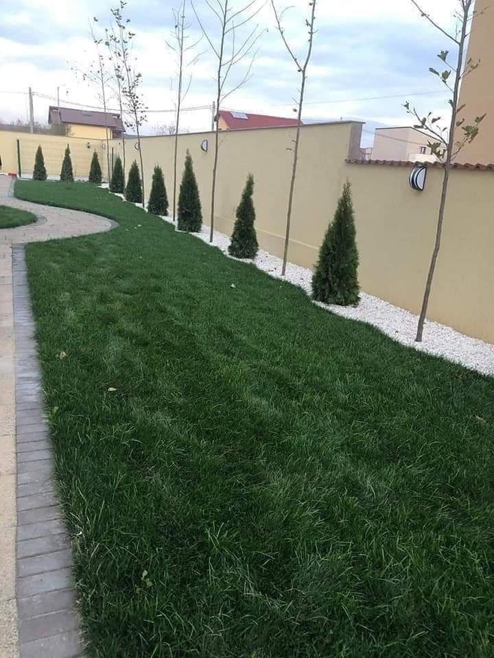 Gazon rulou și Plante Ornamentale