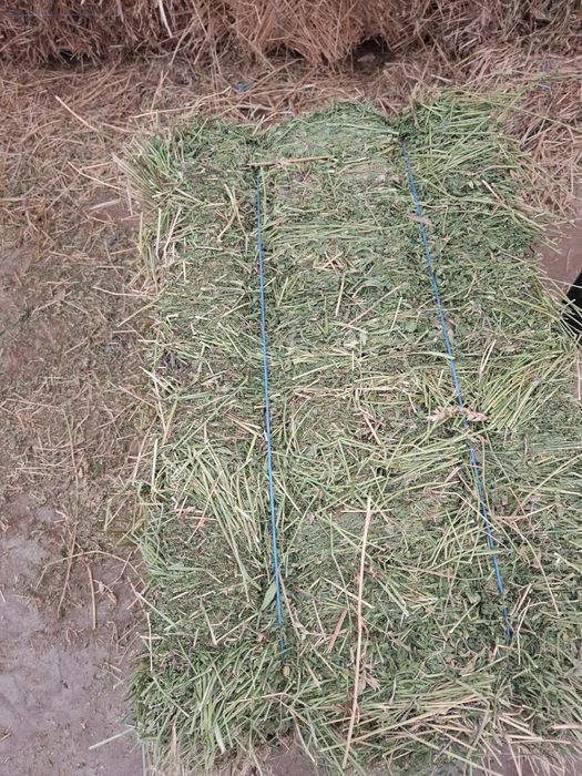 Vand baloti de lucerna