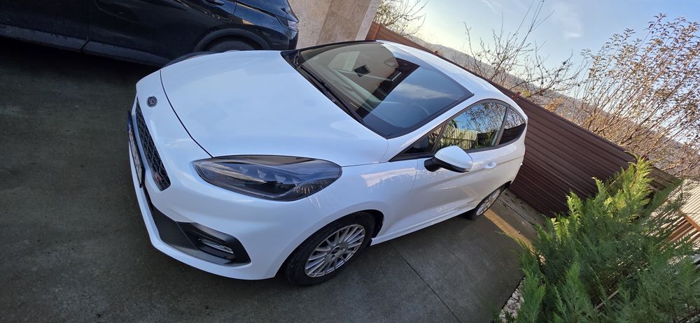 Vand Ford Fiesta ST