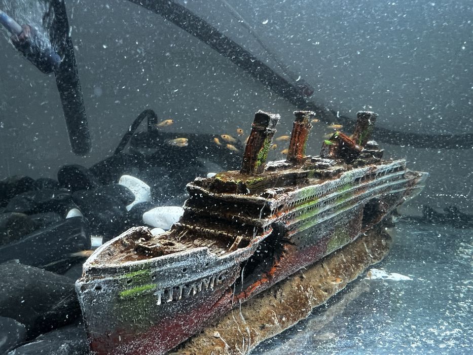 Acvariu,pesti,pompa exigen,pompa recirculare si filtare apa