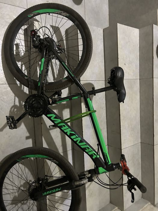 Велик макинар браль с каспий