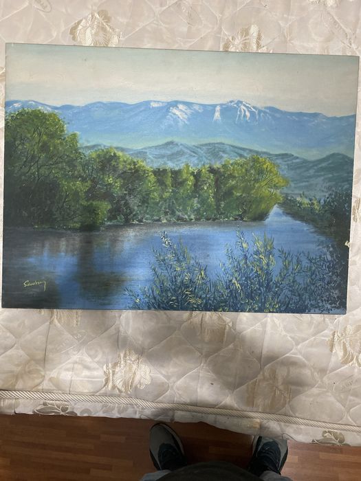 Tablouri vechi!! 700 de lei cele mari ,iar cel mai lat 300 de lei