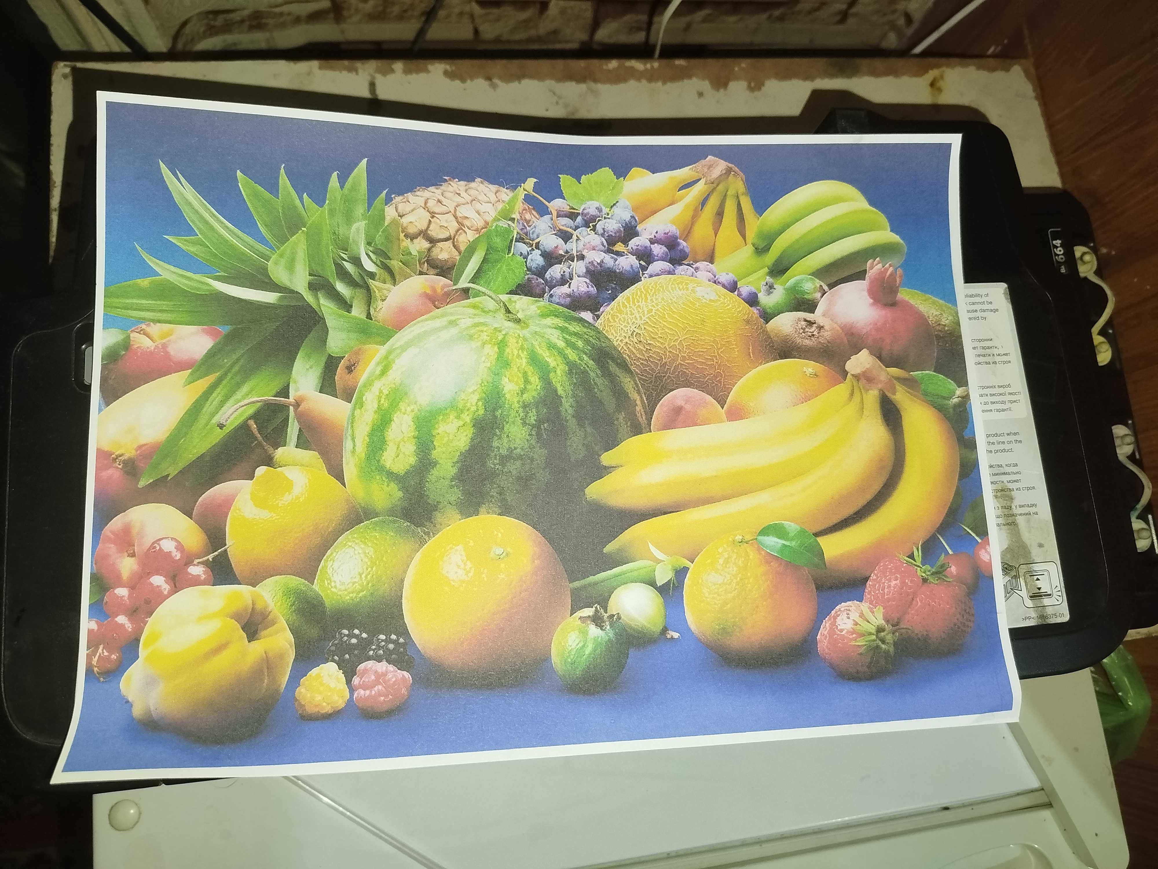 Epson L121 Ranglik printer 4 rang