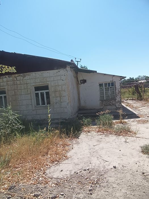 Uyni sharoitlari yaxshi