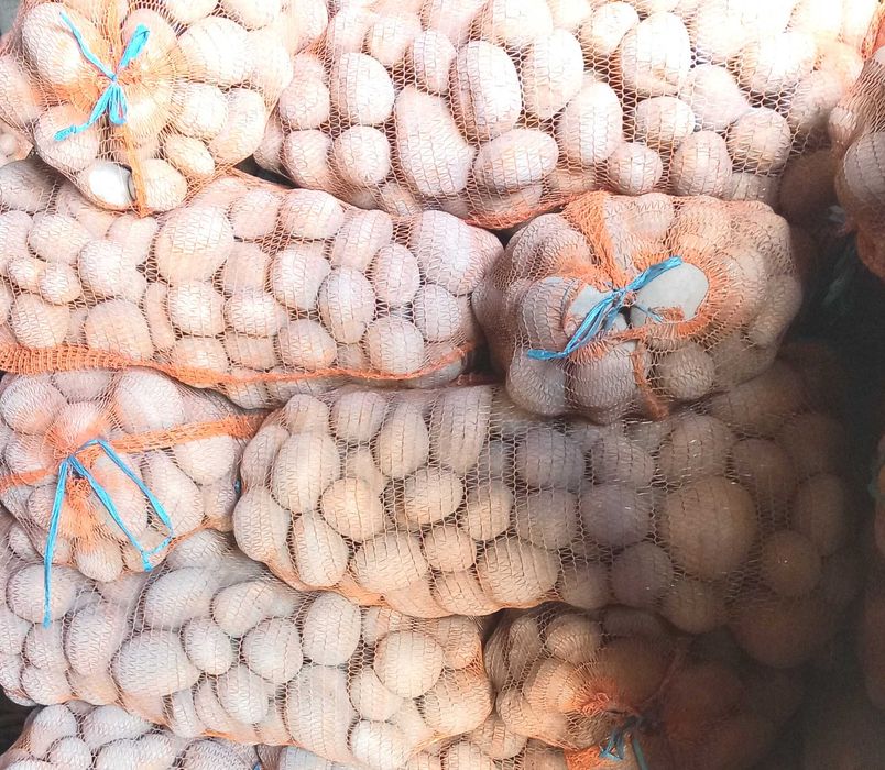 Cartofi consum carera și paradiso