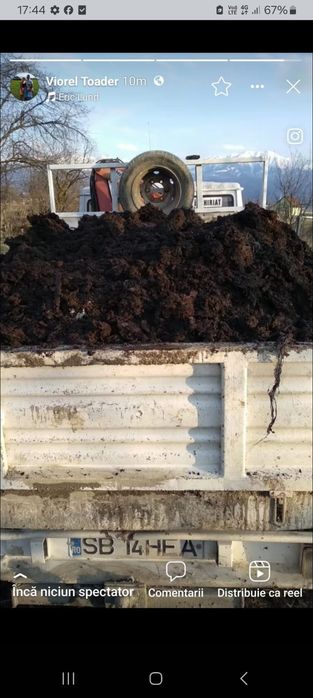 Gunoi de grajd vechi de vacă și bivol    calitate foarte bună