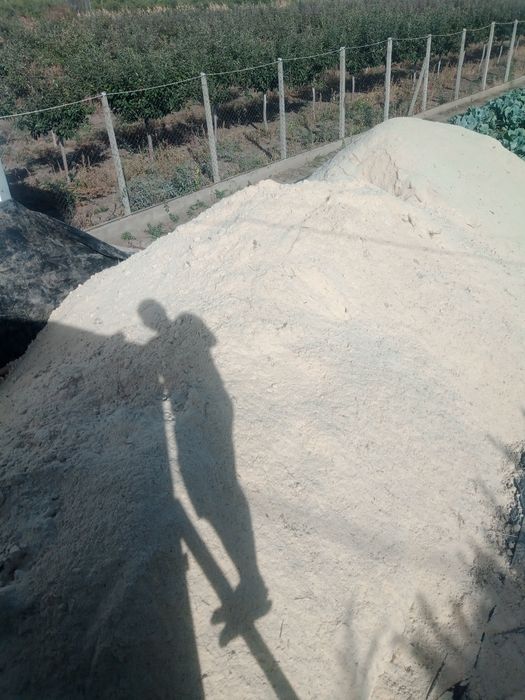 Vănd rumeguș de brad ,fag