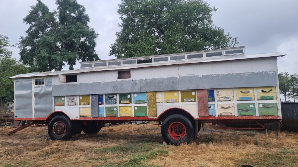 Vand sau schimb cu auto