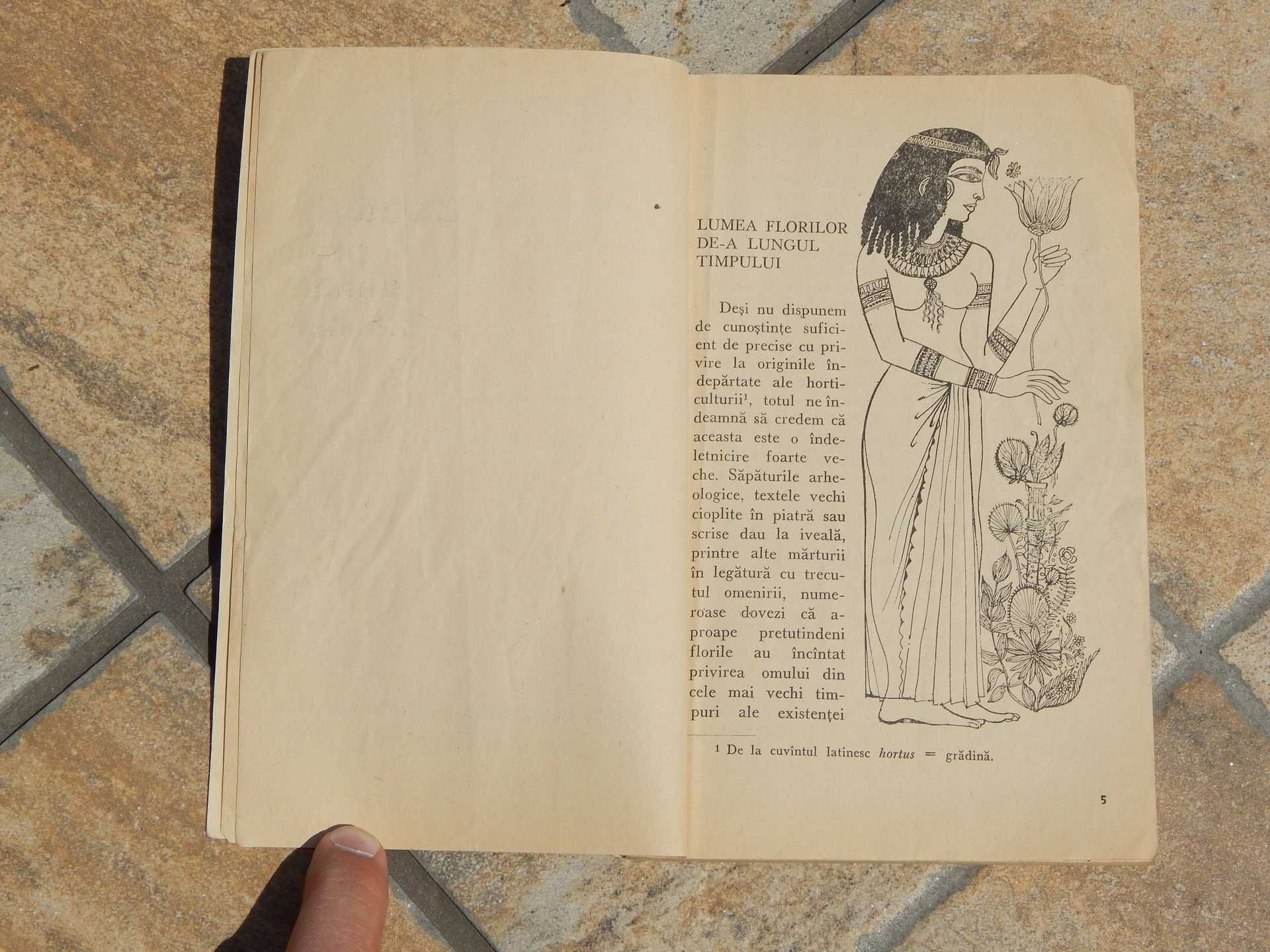 Calatorie prin lumea florilor Gabriela Doru (Colectia Orizonturi) 1969