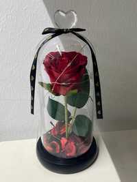 Вечна роза в стъкленица