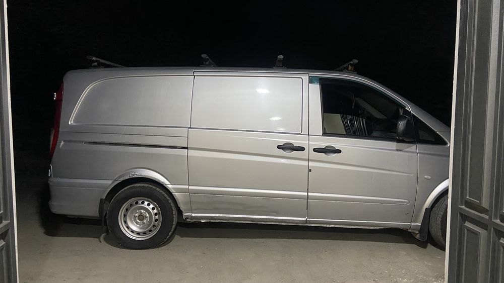 Mersides vito. .